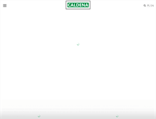 Tablet Screenshot of caldena.com